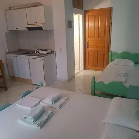 Nikos And Penthouse 公寓 瓦西利基