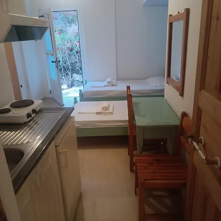 公寓 Nikos And Penthouse 瓦西利基